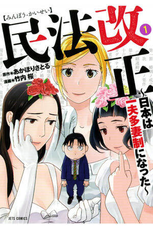 Civil Code Reform - Japan became polygamy system (FH/Complete)