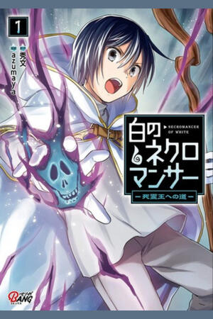 The White Necromancer: Road to the Spirit King (FH,Ongoing)