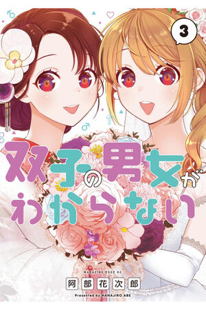 I Can't Tell Which Twin Is Which Sex (FH,Complete)